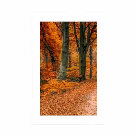 POSZTER PASZPORTUVAL ERDŐ ŐSZI IDŐBEN - TERMÉSZETKÉPES - POSZTEREK