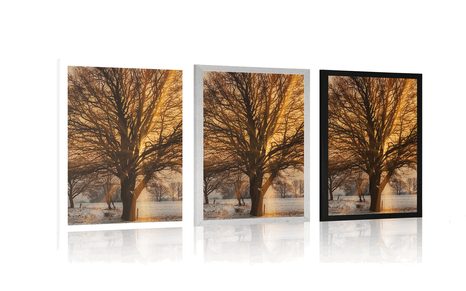 PLAKÁT STROM V ZASNĚŽENÉ KRAJINĚ - PŘÍRODA - PLAKÁTY