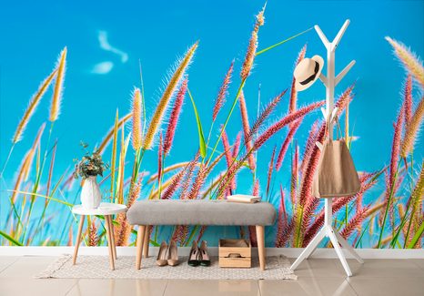 SAMOLEPÍCÍ FOTOTAPETA DIVOKÁ TRÁVA POD OBLOHOU - SAMOLEPÍCÍ TAPETY - TAPETY