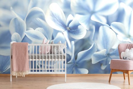 CARTA DA PARATI AUTOADESIVA – ORTENSIE CELESTI - CARTA DA PARATI AUTOADESIVE - CARTA DA PARATI