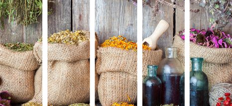 5-DÍLNÝ OBRAZ LÉČIVÉ BYLINKY - OBRAZY JÍDLA A NÁPOJE - OBRAZY