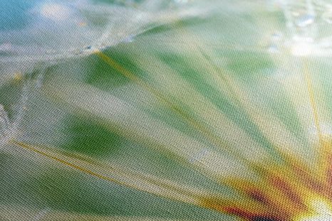 WANDBILD SCHÖNES DETAIL DES LÖWENZAHNS - BILDER BLUMEN - BILDER