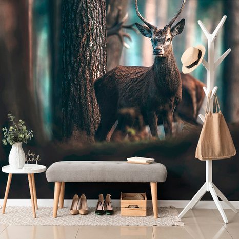 WALL MURAL DEER IN THE FOREST - WALLPAPERS ANIMALS - WALLPAPERS