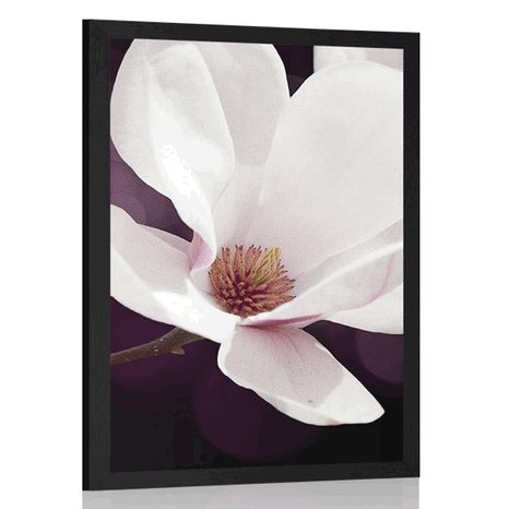 POSTER FLORI DE MAGNOLIE PE FUNDAL ABSTRACT - FLORI - POSTERE