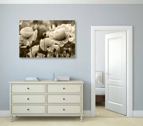 QUADRO SU TELA – CAMPO DI PAPAVERI SELVATICI IN VERSIONE SEPPIA - QUADRI BIANCO E NERO - STAMPE E QUADRI