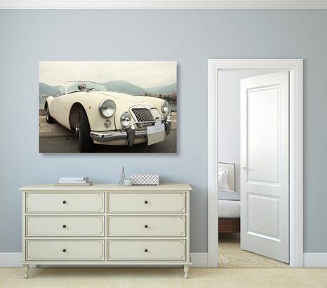 TABLOU VETERAN ALB DE LUX - TABLOURI CU MAȘINI - TABLOURI