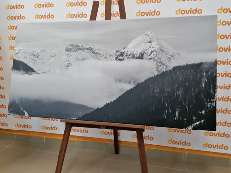 KÉP TÉLI TÁJ FEKETE FEHÉRBEN - FEKETE-FEHÉR KÉPEK - KÉPEK