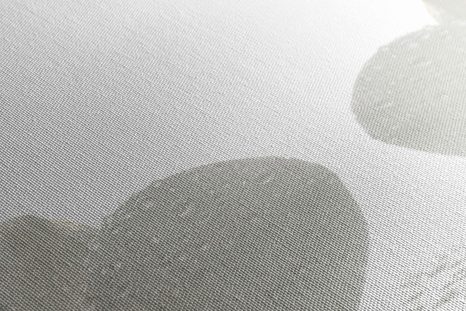 SLIKA BELI CVETOVI ORHIDEJE - SLIKE FENG SHUI - SLIKE