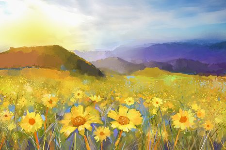 SELBSTKLEBENDE TAPETE FELD VOLL VON GÄNSEBLÜMCHEN - SELBSTKLEBENDE TAPETEN - TAPETEN