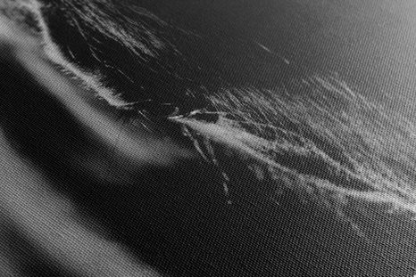 KÉP FENSÉGES LÓ FEKETE FEHÉRBEN - FEKETE-FEHÉR KÉPEK - KÉPEK