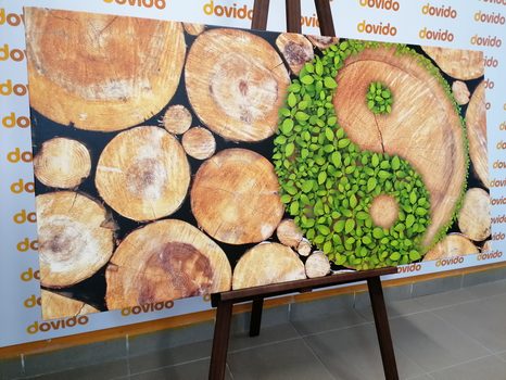 SLIKA JIN IN JANG V EKO IZVEDBI - SLIKE FENG SHUI - SLIKE