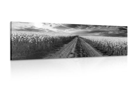 CANVAS PRINT SUNSET OVER A FIELD IN SLOVAKIA IN BLACK AND WHITE - BLACK AND WHITE PICTURES - PICTURES