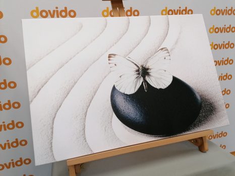 STAMPA SU TELA – FARFALLA BIANCA SU PIETRA NERA - QUADRI FENG SHUI - STAMPE E QUADRI