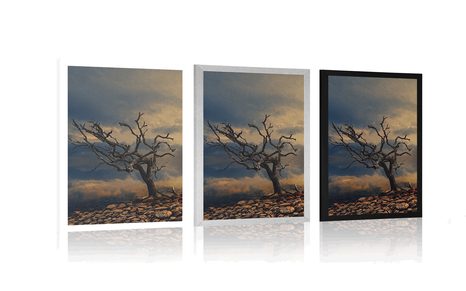 PLAKÁT VYSCHLÝ STROM - PŘÍRODA - PLAKÁTY