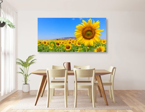 CANVAS PRINT SUNFLOWER FIELD - PICTURES - 🔥 TOTAL SALE 🔥