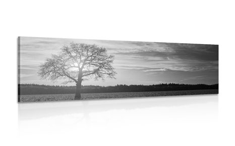 CANVAS PRINT LONELY TREE IN BLACK AND WHITE - BLACK AND WHITE PICTURES - PICTURES