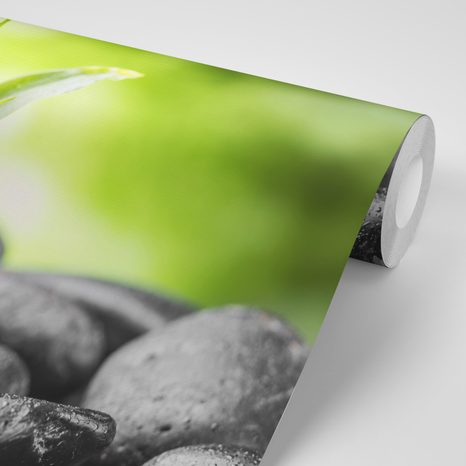 PAPIER PEINT PANORAMIQUE ADHÉSIF – COMPOSITION ZEN MÉDITATIVE - PAPIERS PEINTS - 🔥 VENTE TOTALE