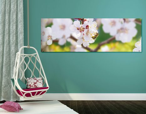 WANDBILD BAUMBLÜTEN IM FRÜHLING - BILDER BLUMEN - BILDER
