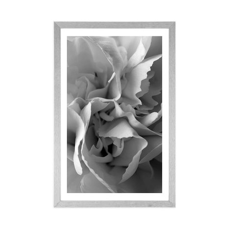 PLAKAT S PASPARTUOM LATICE KARANFILA U CRNO-BIJELOM DIZAJNU - CRNO-BIJELE - PLAKATI