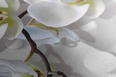 TABLEAU SUR TOILE – ORCHIDÉE SUR FOND ABSTRAIT - TABLEAUX DE FLEURS - TABLEAUX