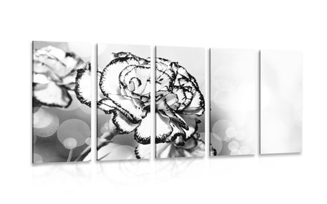 5-PIECE CANVAS PRINT ELEGANT CARNATION IN BLACK AND WHITE