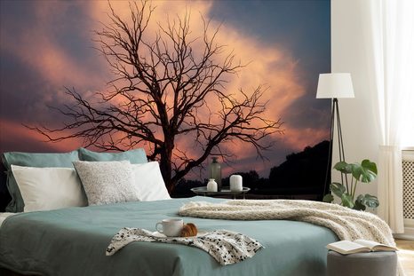 SAMOLEPÍCÍ FOTOTAPETA NÁDHERNÝ STROM NA LOUCE - SAMOLEPÍCÍ TAPETY - TAPETY