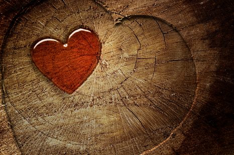 CANVAS PRINT HEART ON A STUMP - PICTURES OF NATURE AND LANDSCAPE - PICTURES