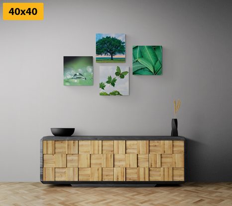 SET OBRAZŮ PŘÍRODA PLNÁ ZELENĚ - SESTAVY OBRAZŮ - OBRAZY