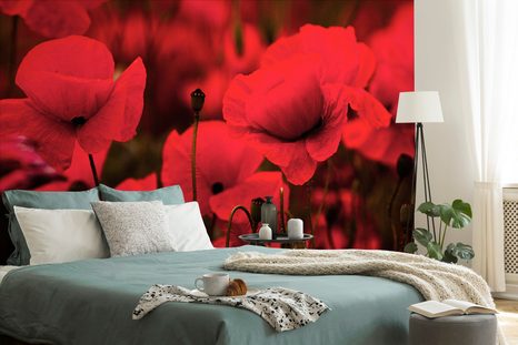 FOTOTAPETA POLE DIVOKÝCH MÁKŮ - TAPETY KVĚTINY - TAPETY
