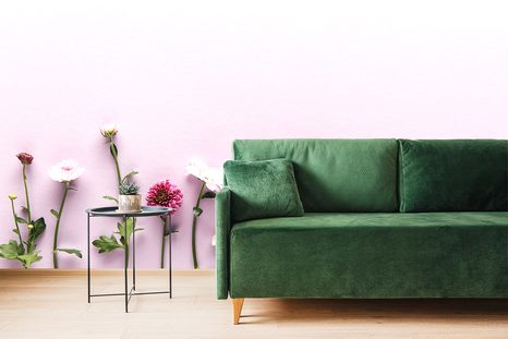 FOTOTAPETA KOMPOZICE CHRYZANTÉM - TAPETY KVĚTINY - TAPETY