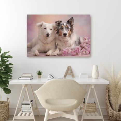 OBRAZ PSI PŘÁTELSTVÍ V KVĚTECH - OBRAZY PSI - OBRAZY