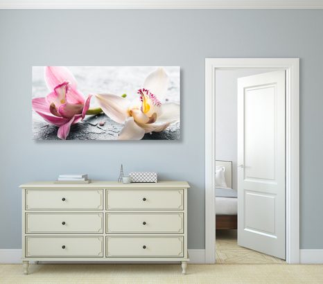 WANDBILD ORCHIDEENBLÜTEN - BILDER - 🔥 TOTALAUSVERKAUF