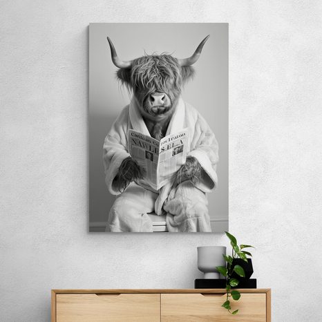 OBRAZ KRAVA S NOVINAMI NA ZÁCHODE - OBRAZY BYVOLY A KRAVY - OBRAZY