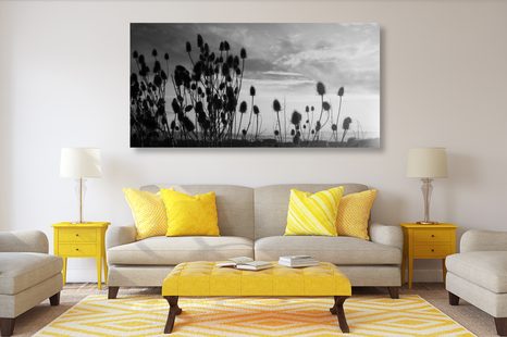 SLIKA TRAVA NA POLJU V ČRNOBELI IZVEDBI - ČRNOBELE SLIKE - SLIKE