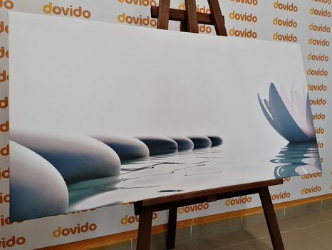 ΕΙΚΌΝΑ ΛΟΥΛΟΥΔΙΟΎ ΛΩΤΟΎ ΚΑΙ ΠΈΤΡΕΣ ΖΕΝ - ΠΊΝΑΚΕΣ ΦΕΝΓΚ ΣΟΎΙ - ΠΊΝΑΚΕΣ