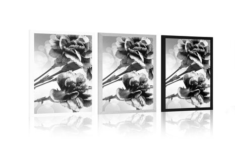 PLAGÁT KVET KARAFIÁTU V ČIERNOBIELOM PREVEDENÍ - ČIERNOBIELE - PLAGÁTY