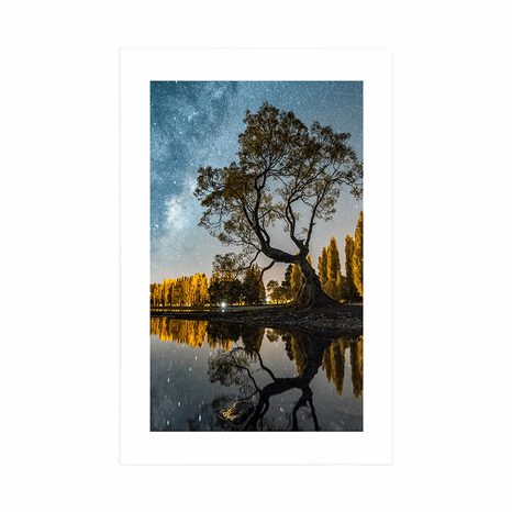 POSTER CU PASSEPARTOUT COPAC SUB CERUL ÎNSTELAT - NATURĂ - POSTERE