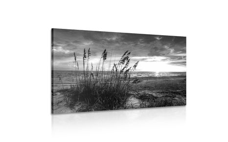 TABLOU APUS DE SOARE PE PLAJĂ ALB-NEGRU - TABLOURI ALB-NEGRU - TABLOURI