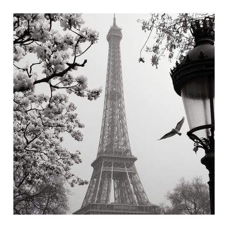 OBRAZ EIFFELOVA VĚŽ V ZIMĚ - OBRAZY PAŘÍŽ - OBRAZY