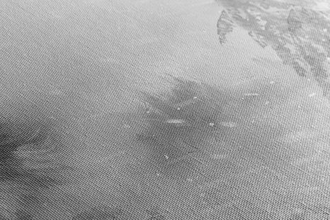 OBRAZ VLK V ZASNĚŽENÉ KRAJINĚ V ČERNOBÍLÉM PROVEDENÍ - ČERNOBÍLÉ OBRAZY - OBRAZY