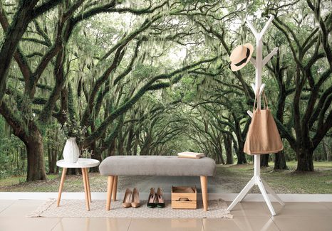 CARTA DA PARATI – IN ABBRACCIO DEGLI ALBERI - CARTA DA PARATI NATURA - CARTA DA PARATI