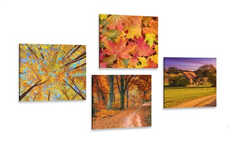 SET OF NATURE PICTURES IN AUTUMN COLORS
