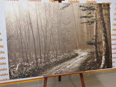 WANDBILD WEG IN DEN WALD IN SEPIA - BILDER VON NATUR UND LANDSCHAFT - BILDER