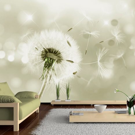 SELF ADHESIVE WALLPAPER DANDELION IN A SUBTLE SHADE