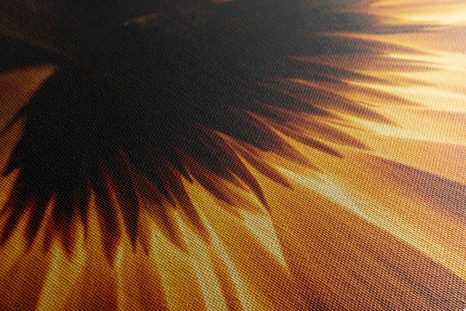 WANDBILD GERBERA AUF DUNKLEM HINTERGRUND - BILDER BLUMEN - BILDER