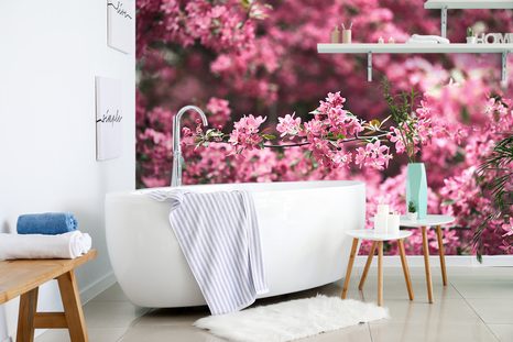 FOTOTAPETA DETAILNÍ KVĚTINY TŘEŠNĚ - TAPETY PŘÍRODA - TAPETY