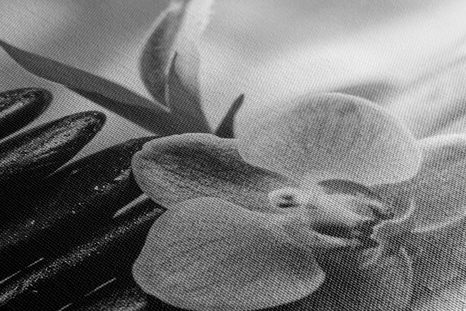CANVAS PRINT MEDITATIVE ZEN COMPOSITION IN BLACK AND WHITE - BLACK AND WHITE PICTURES - PICTURES