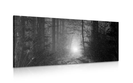 WANDBILD LICHT IM WALD IN SCHWARZ-WEISS - SCHWARZ-WEISSE BILDER - BILDER