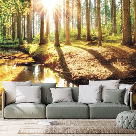 FOTOTAPETA LES JAKO Z POHÁDKY - TAPETY - TOTÁLNÍ VÝPRODEJ 🔥