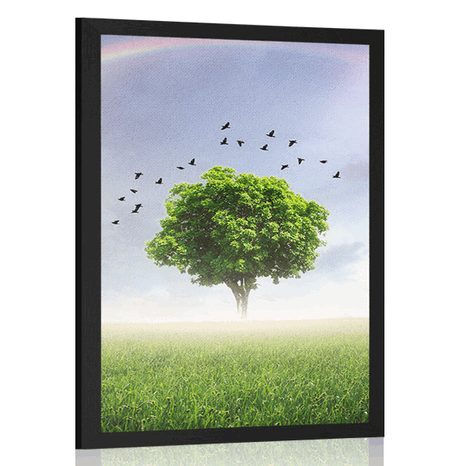 POSTER ALLEINSTEHENDER BAUM AUF DER WIESE - NATUR - POSTER